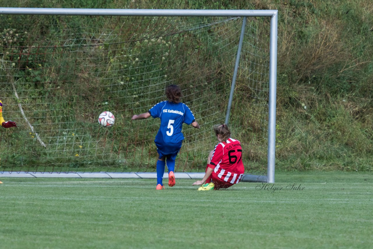 Bild 272 - B-Juniorinnen TuS Tensfeld - FSC Kaltenkirchen : Ergebnis: 3:6